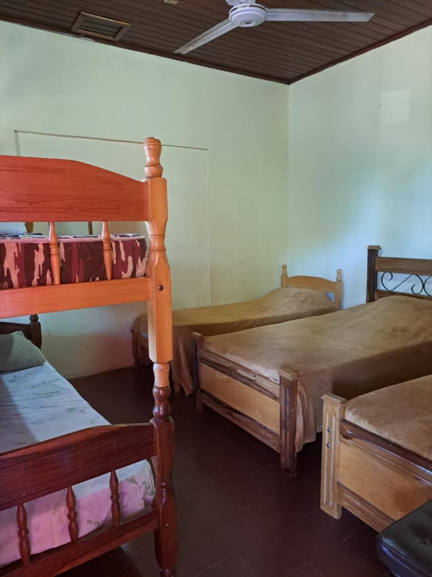 Hummingbird Hostel ซิวดัดเดลเอสเต ภายนอก รูปภาพ